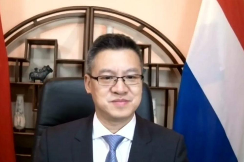 中國駐荷蘭大使館臨時代辦陳日彪致辭。（EFCSE微信公眾號圖片）