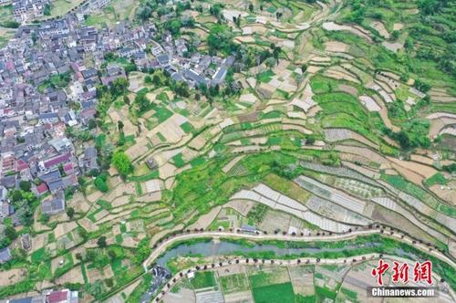 航拍浙江天臺(tái)梯田 層層疊疊景色壯美