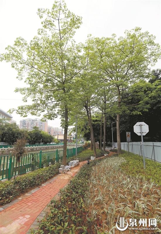 津淮街和淮秀路交叉口的口袋公園仍在建設(shè)中 