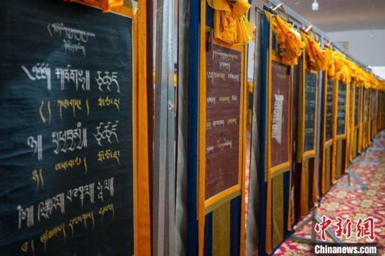 丁青縣展示的《象雄藏文書法唐卡大集》?！〗w波 攝