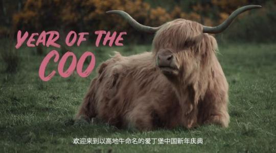 記者觀察丨濃濃年味不能少 歐洲各國(guó)“云上”慶春節(jié)