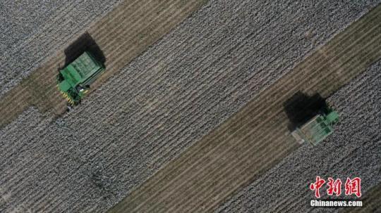 大型采棉機(jī)正在采收棉花。確·胡熱 攝