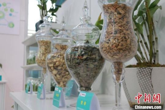 2020年8月27日至29日，第三屆中國(guó)(甘肅)中醫(yī)藥產(chǎn)業(yè)博覽會(huì)在“千年藥鄉(xiāng)”甘肅省定西市隴西縣召開。圖為第三屆中國(guó)(甘肅)中醫(yī)藥產(chǎn)業(yè)博覽會(huì)線下展館的藥材展示。(資料圖) 張婧 攝