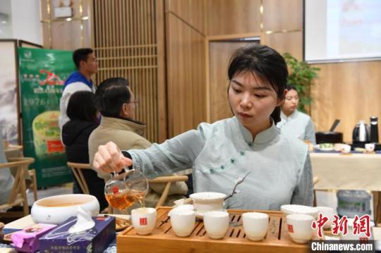 云南沱茶：以獨特焦香味開啟45年“法國之旅”