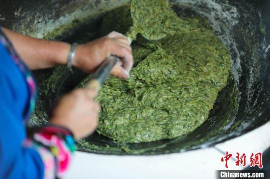 村民制作清明菜?！±铤Q 攝