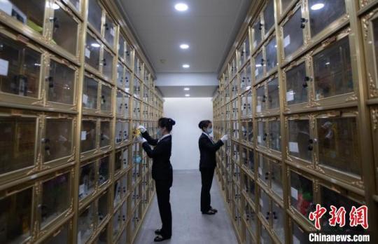 工作人員開展公益代祭掃活動?！°蟛?攝