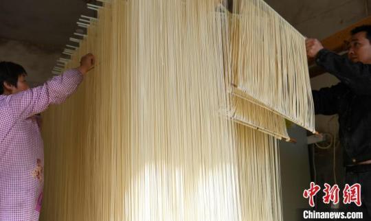 縉云姓王村村民在早晨陽光下晾曬爽面?！⊥鮿?攝