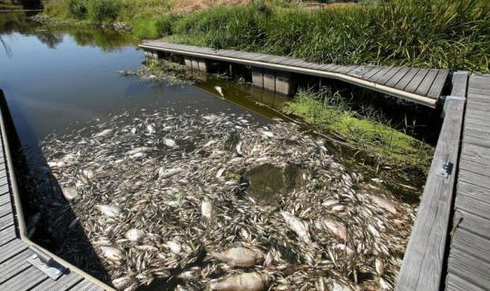 極端高溫持續(xù) 歐洲多國麻煩不斷