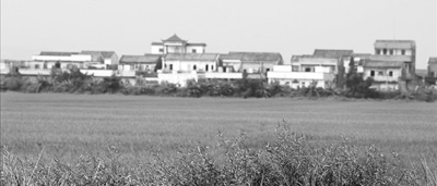 中國僑網(wǎng)圖為廣東海宴華僑農(nóng)場。(僑友樂)