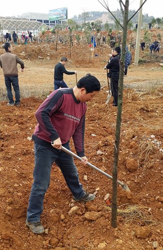 中國(guó)僑網(wǎng)