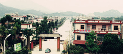 中國僑網(wǎng)溪坂村一瞥。