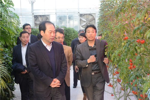 中國(guó)僑網(wǎng)