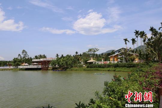 中國僑網(wǎng)海南僑鄉(xiāng)萬寧文通村美景。
