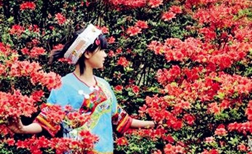 大沙天露山的杜鵑盛景醉倒游人