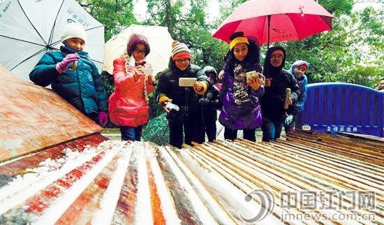 市民在圭峰山上搶拍“冰條”。岑錫斌