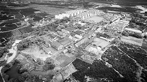 柳城華僑農(nóng)場(資料圖片)