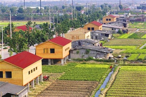 漂亮整齊的小木屋與旁邊的簡易搭蓋形成鮮明對比。