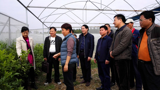 中國(guó)僑網(wǎng)