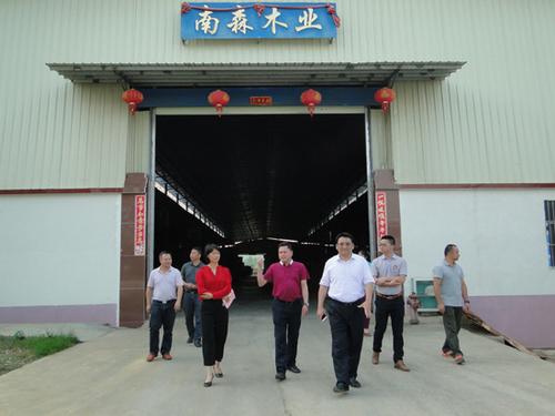中國僑網(wǎng)崇左市副市長鄭業(yè)鷺(右三)參觀南森木業(yè)公司膠合板廠