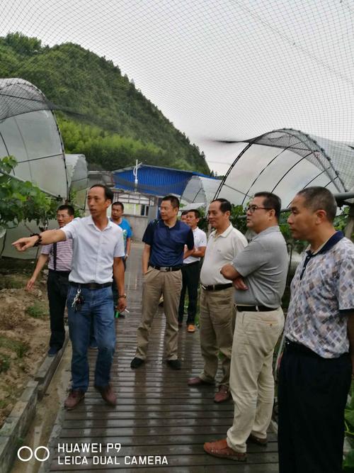 中國(guó)僑網(wǎng)