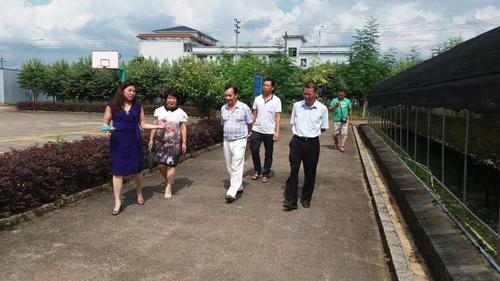 中國(guó)僑網(wǎng)