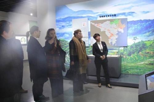 中國(guó)僑網(wǎng)