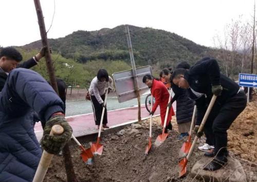 中國僑網(wǎng)圖片來源:溫州外僑辦網(wǎng)站