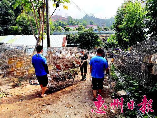 中國僑網(wǎng)清退現(xiàn)場。