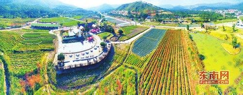 中國僑網(wǎng)雙第華僑農(nóng)場俯瞰
