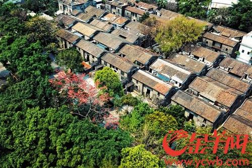 中國僑網鄺其照晚年定居于廣州聚龍村 金羊網記者 周巍 攝