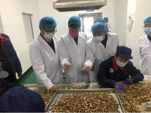 中國(guó)僑網(wǎng)(圖片來源:吉林省僑聯(lián)網(wǎng)站)