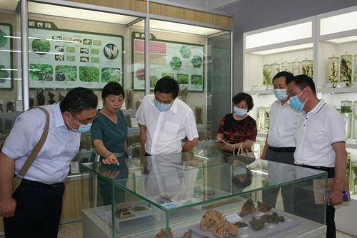 中國僑網(北京市僑聯網站)