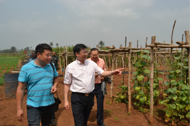 中國(guó)僑網(wǎng)