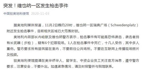 中國(guó)僑網(wǎng)圖片來源:中國(guó)駐奧地利使館微信公眾號(hào)截圖