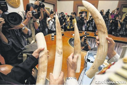 (新加坡《聯(lián)合早報》援引路透社)