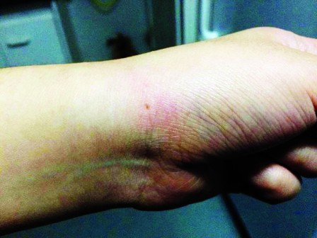 中國僑網(wǎng)(加拿大《明報》)