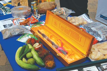 中國僑網(wǎng)被邊檢官員沒收的一盒“中式偉哥”精制鹿鞭。(美國《僑報》/邱晨 攝)