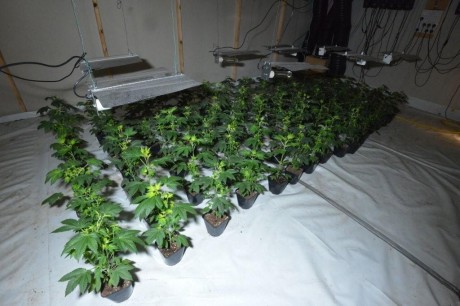 中國僑網(wǎng)(英中網(wǎng))