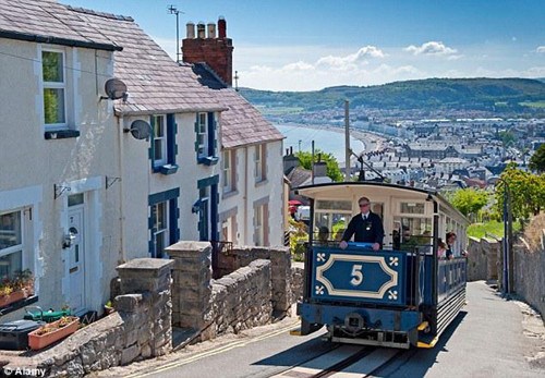 中國(guó)僑網(wǎng)