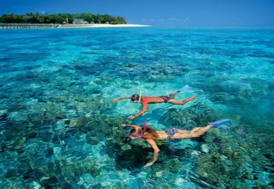 中國僑網(wǎng)(澳大利亞《大洋日報》)