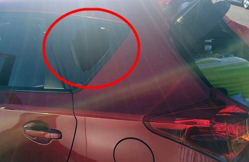 中國僑網(wǎng)(新西蘭天維網(wǎng) 供圖)