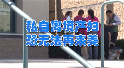 中國僑網(美國中文網)