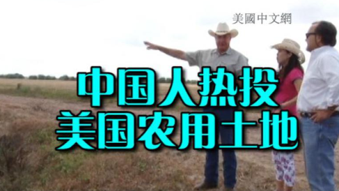 (美國中文網(wǎng))