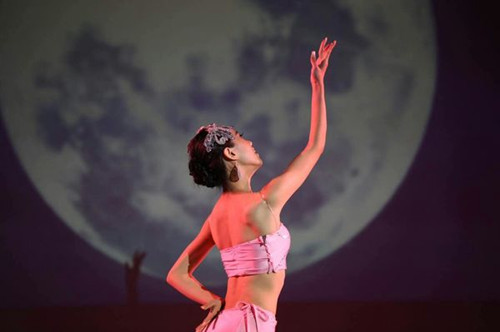 月光下的鳳尾竹