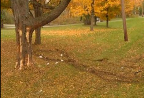 圖為事發(fā)現(xiàn)場