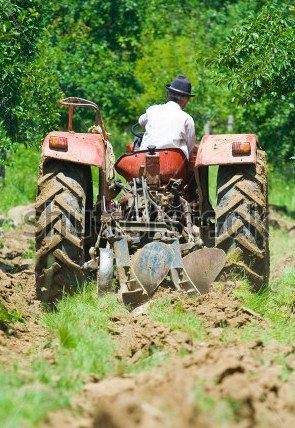 (新西蘭天維網(wǎng))