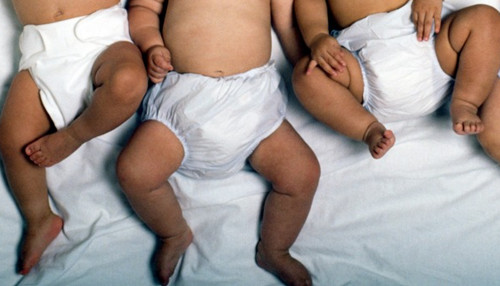 (《澳洲日報》)