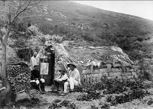 (新西蘭天維網(wǎng))