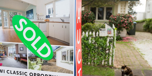 (新西蘭天維網(wǎng))