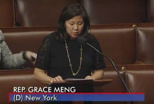 孟昭文于2016年2月在聯(lián)邦眾議院通過法案后發(fā)言。(取自孟昭文辦公室官方視頻)